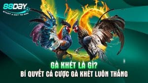 Gà Khét Là Gì? Bí Quyết Cá Cược Gà Khét Luôn Thắng